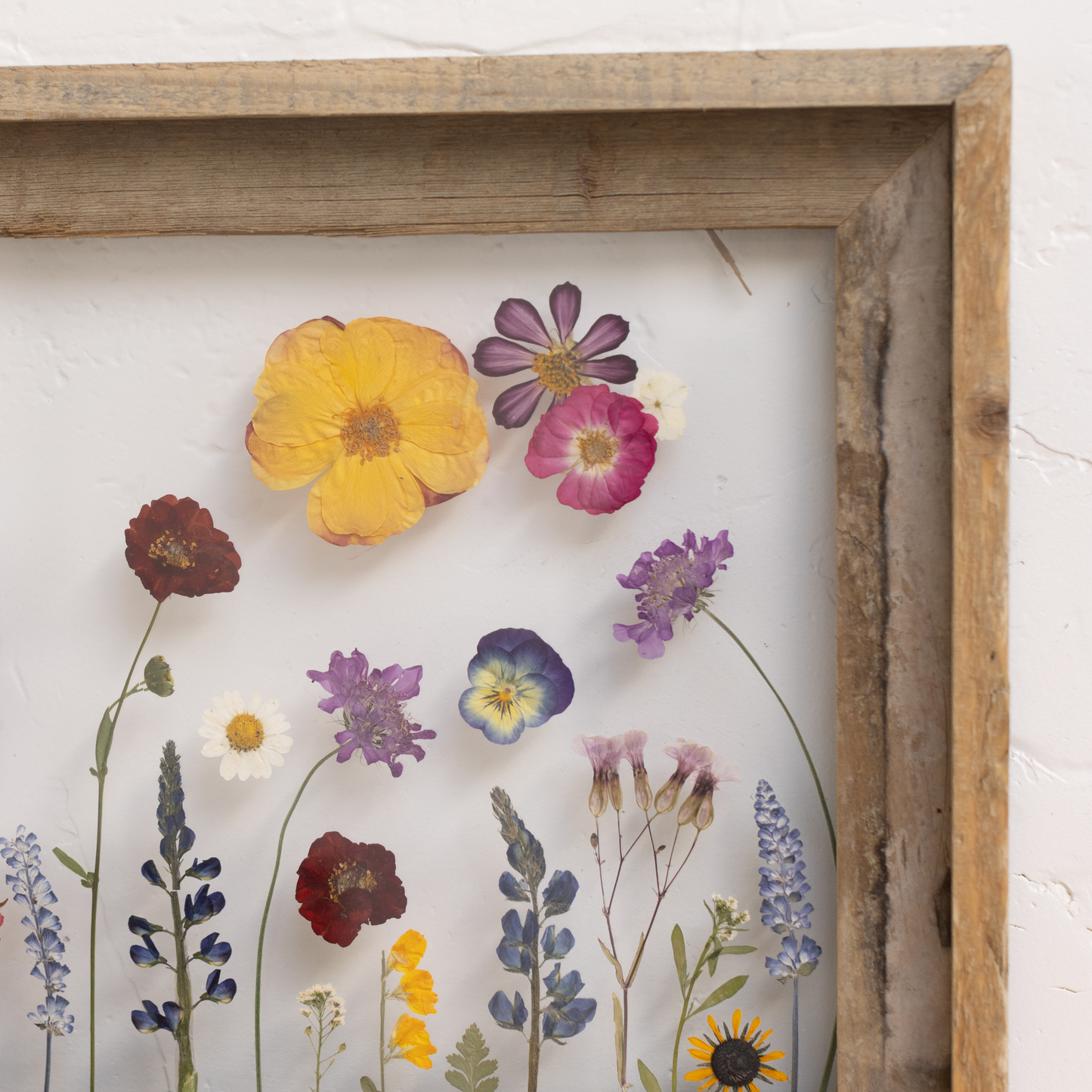 Among the Wildflowers