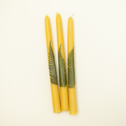 Beeswax Fern Candles