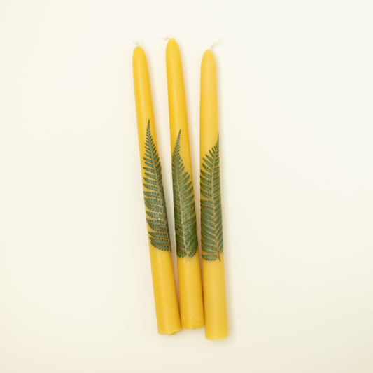 Beeswax Fern Candles